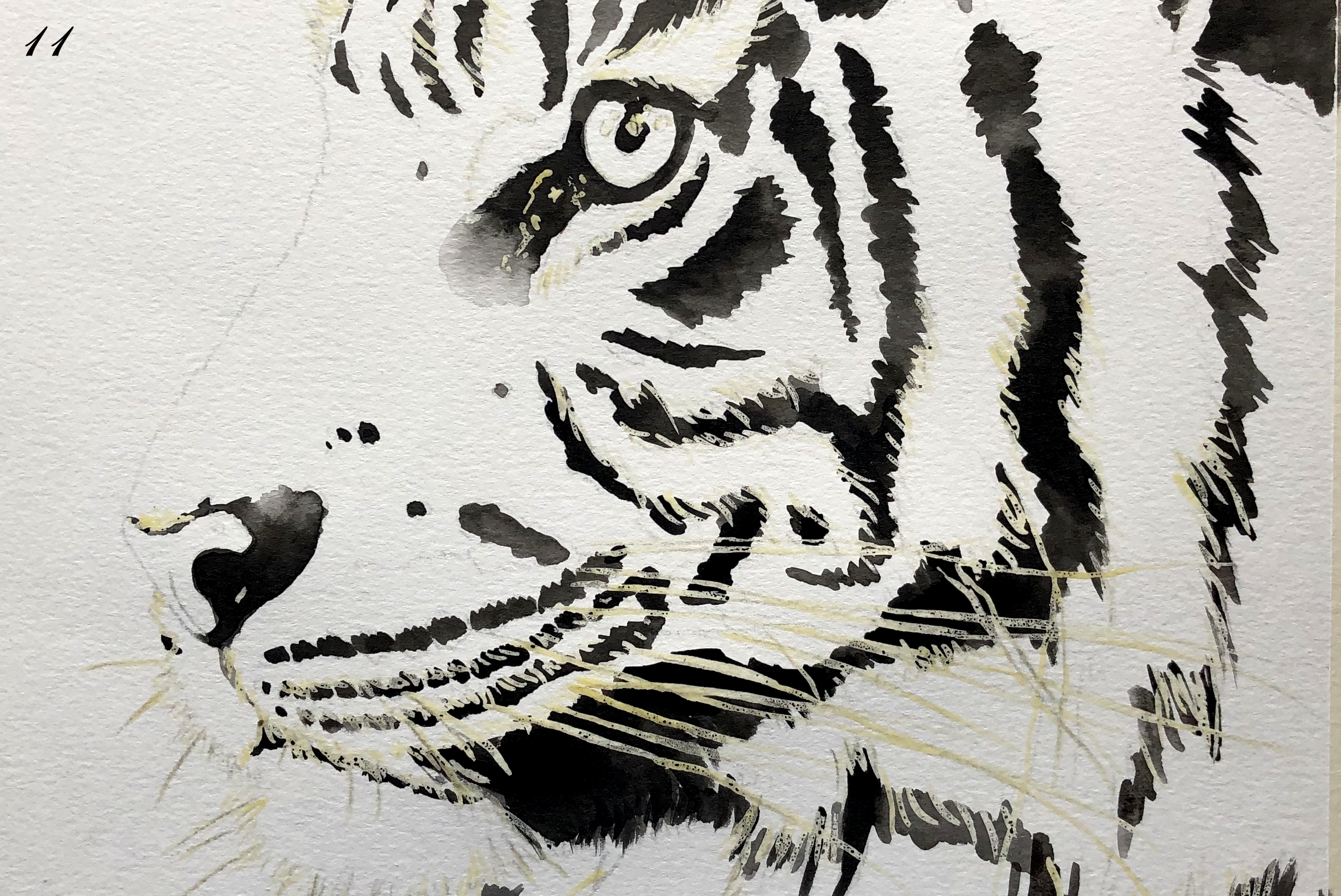 Acuarela - Tigre - Imagen 5