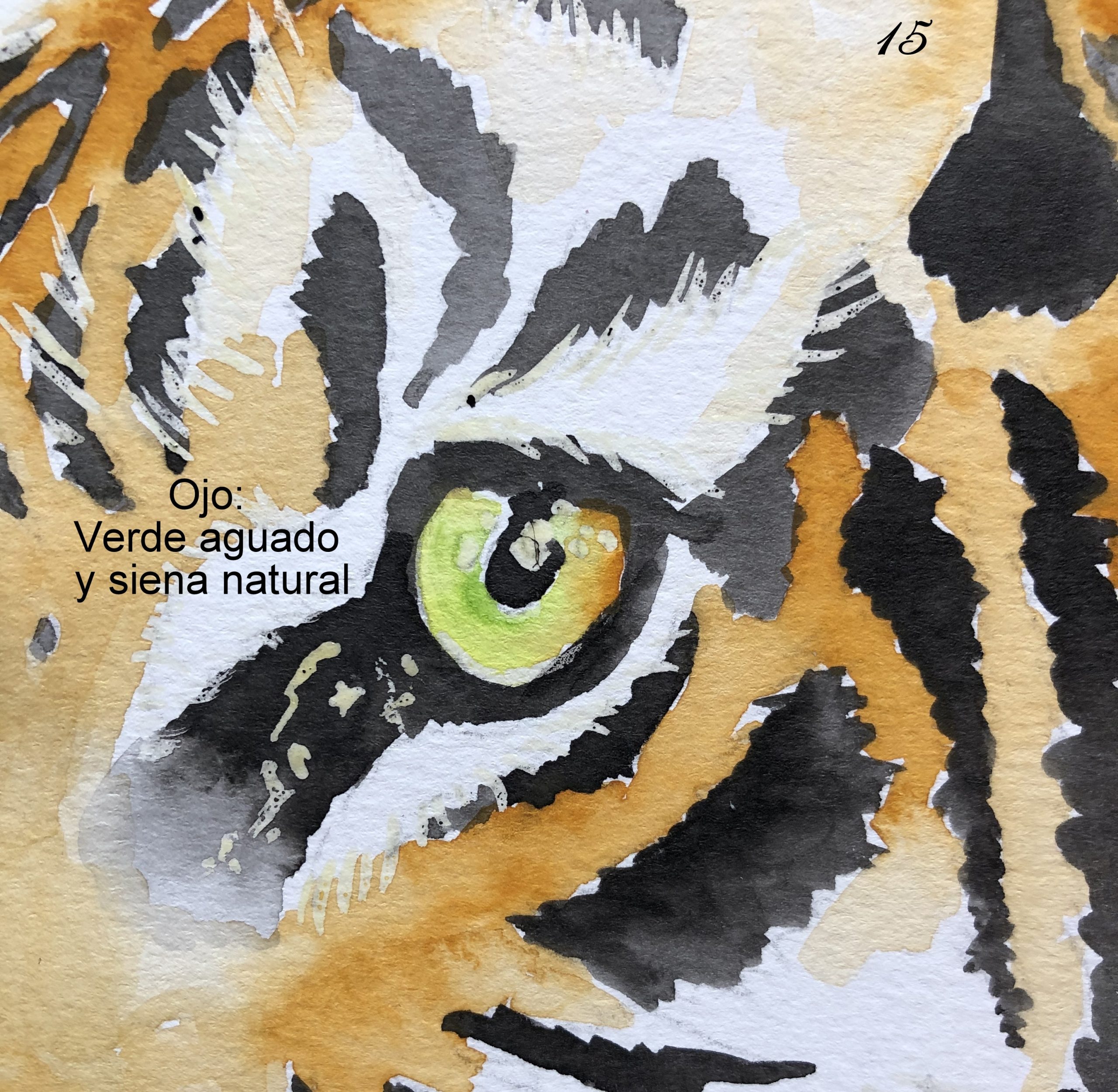 Acuarela - Tigre - Imagen 4