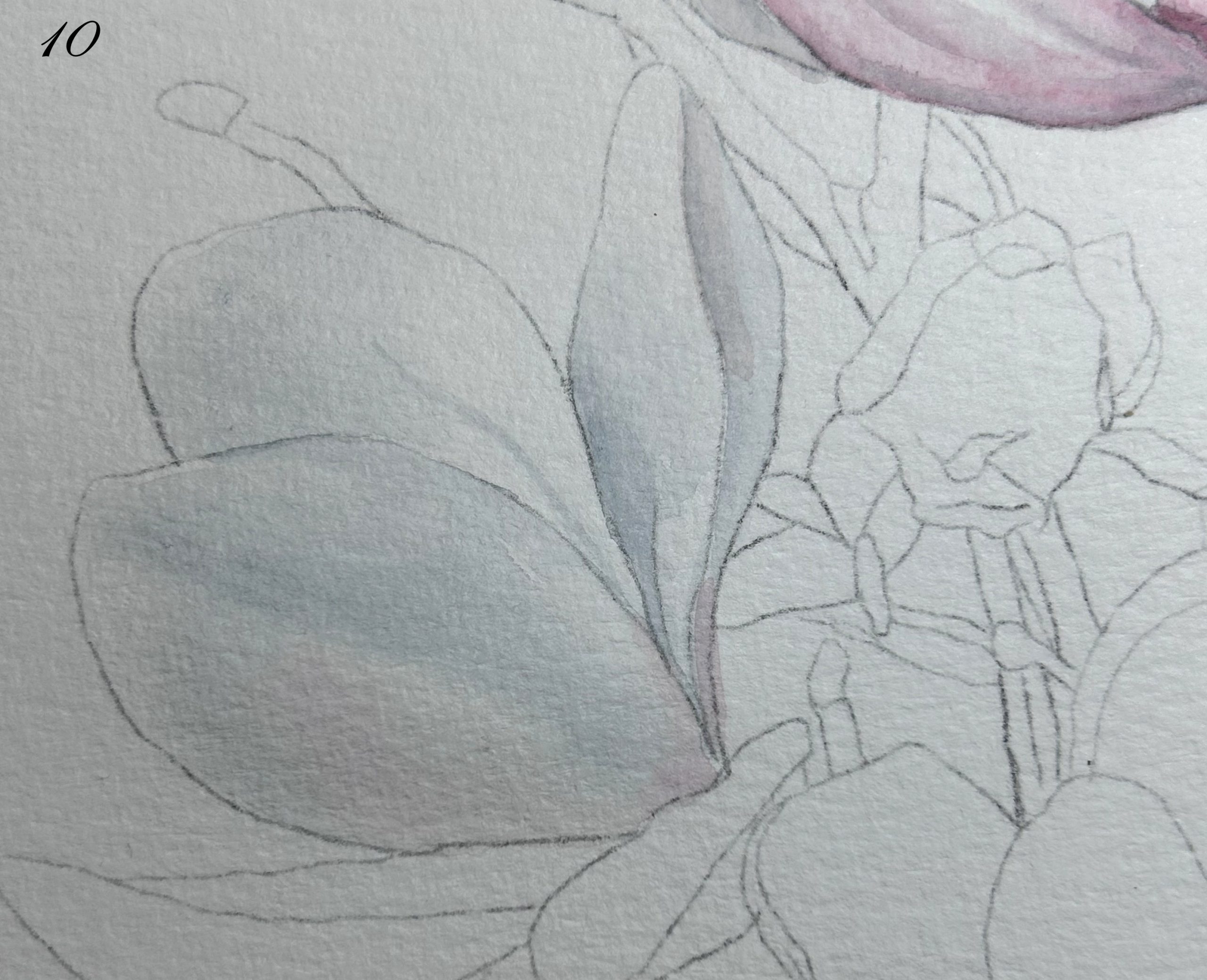 Capacitación en Técnicas en Acuarela - Magnolias - Imagen 4
