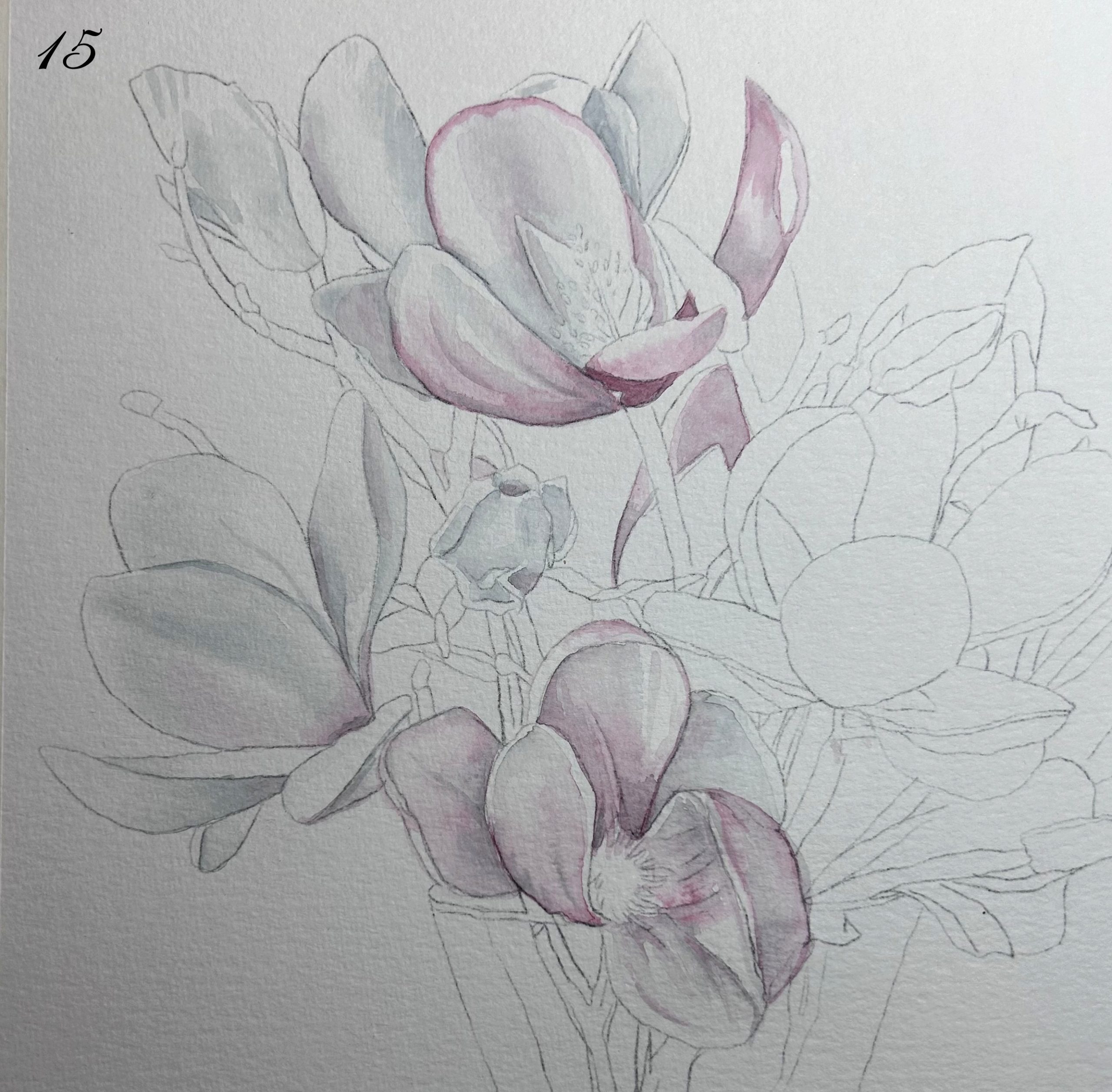 Capacitación en Técnicas en Acuarela - Magnolias - Imagen 2